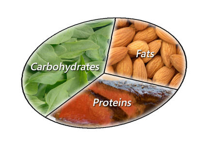 Eat right for your body type (Part 3): Your Macronutrient Breakdown
